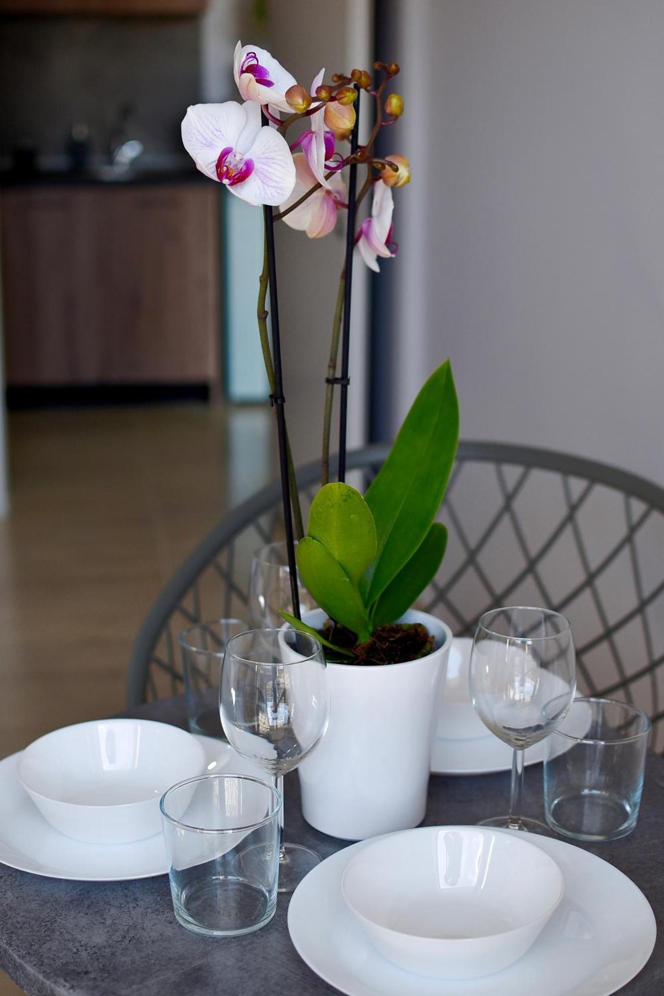 Room Nine 9 Beachfront Apartments Nea Kallikrateia Ngoại thất bức ảnh